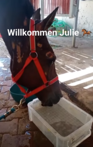 Willkommen